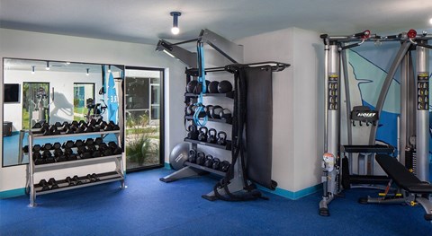 a home gym with weights and equipment and a glass door