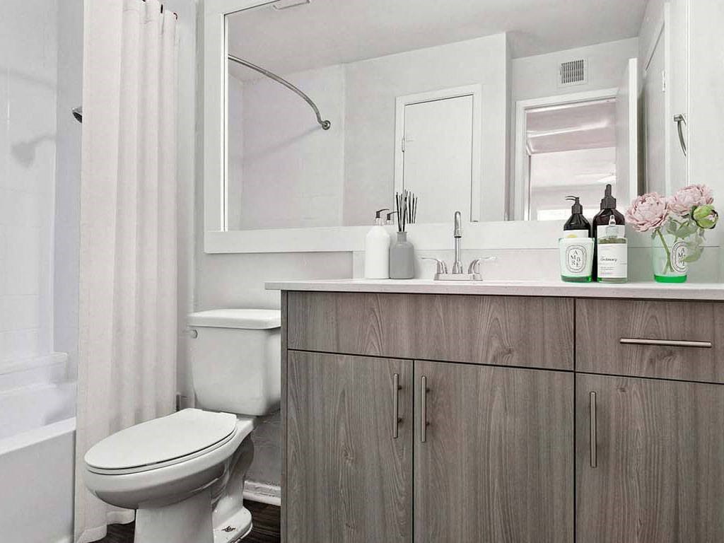 a bathroom with a toilet and a sink and a mirror