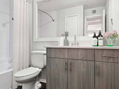 a bathroom with a toilet and a sink and a mirror