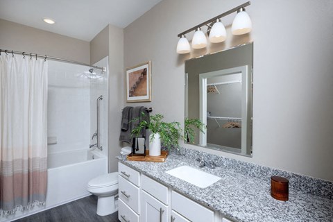 a bathroom with a sink and a shower and a mirror