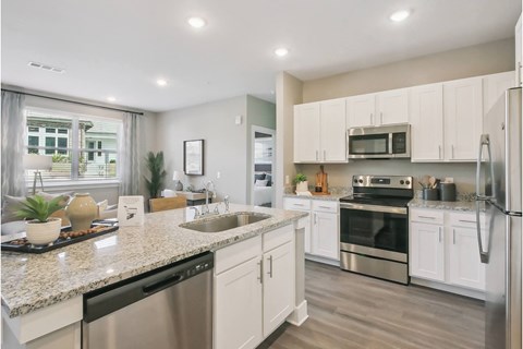 Open Concept Modern Kitchen