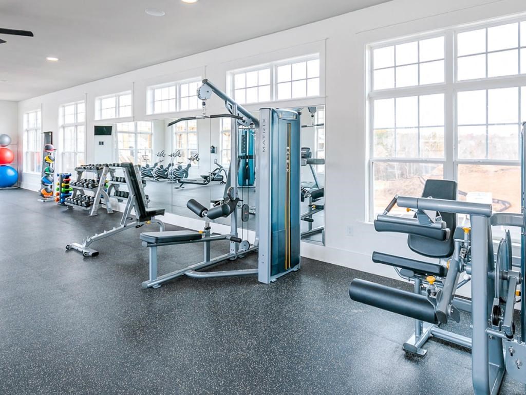 the gym has plenty of cardio equipment and windows