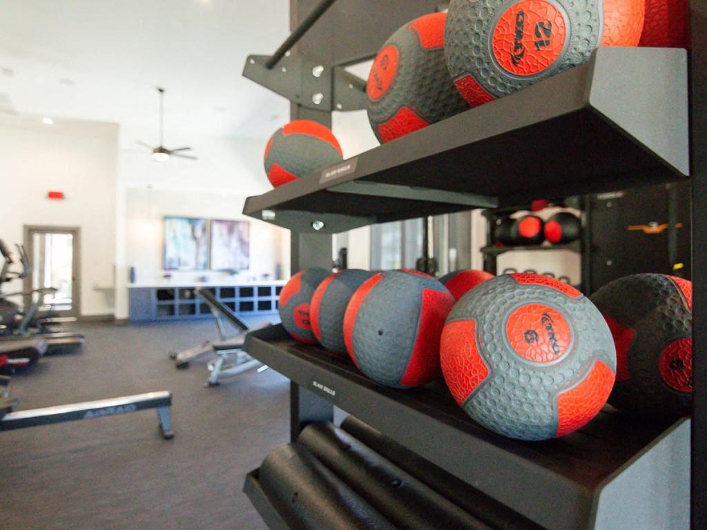 the gym has plenty of dumbbells and weights on a rack
