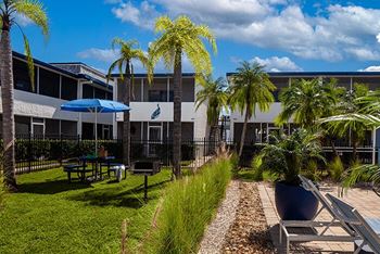 a courtyard with a picnic table and palm trees