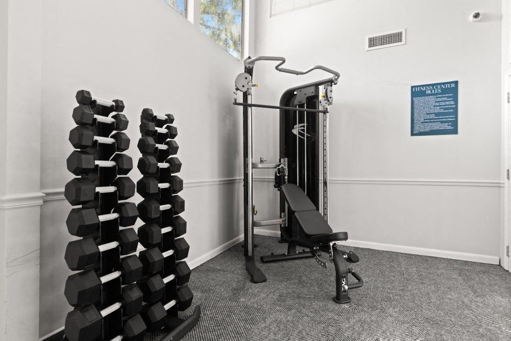 the gym at the adagio has weights and cardio equipment