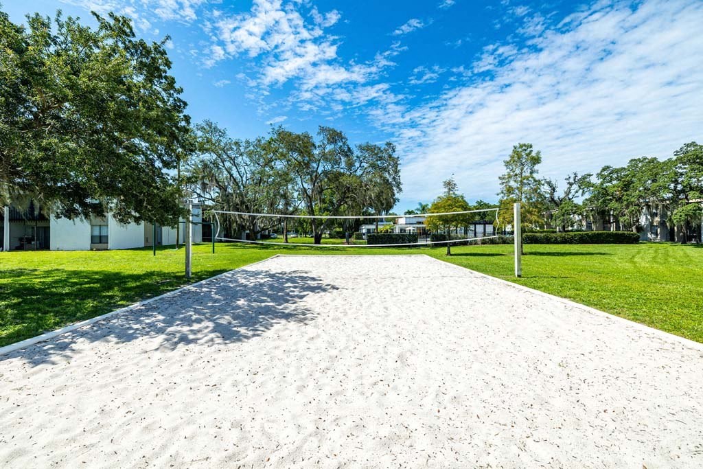 Volley Ball Court
