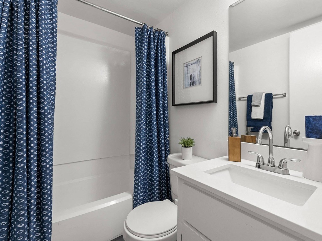 a bathroom with a sink and a toilet and a shower