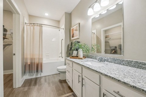 a bathroom with a sink and a shower and a toilet