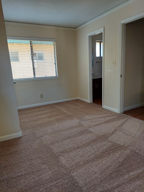 A room with a carpeted floor and a window with blinds.