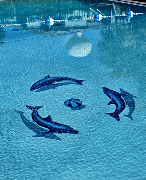 Four dolphins swimming in a pool.