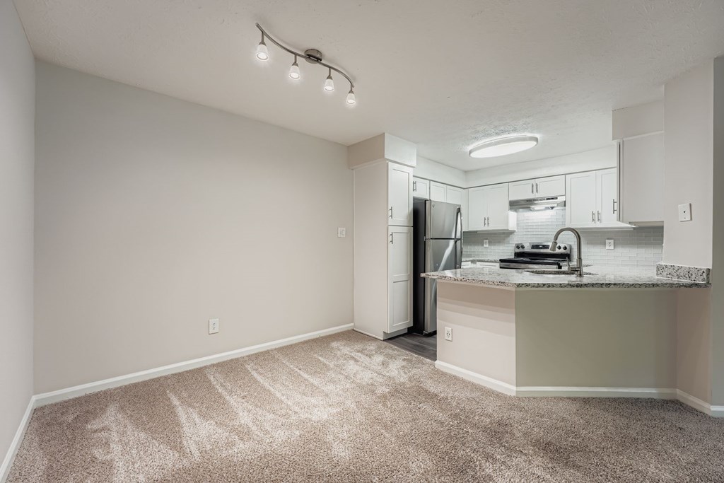 A kitchen area with a counter and cabinets.