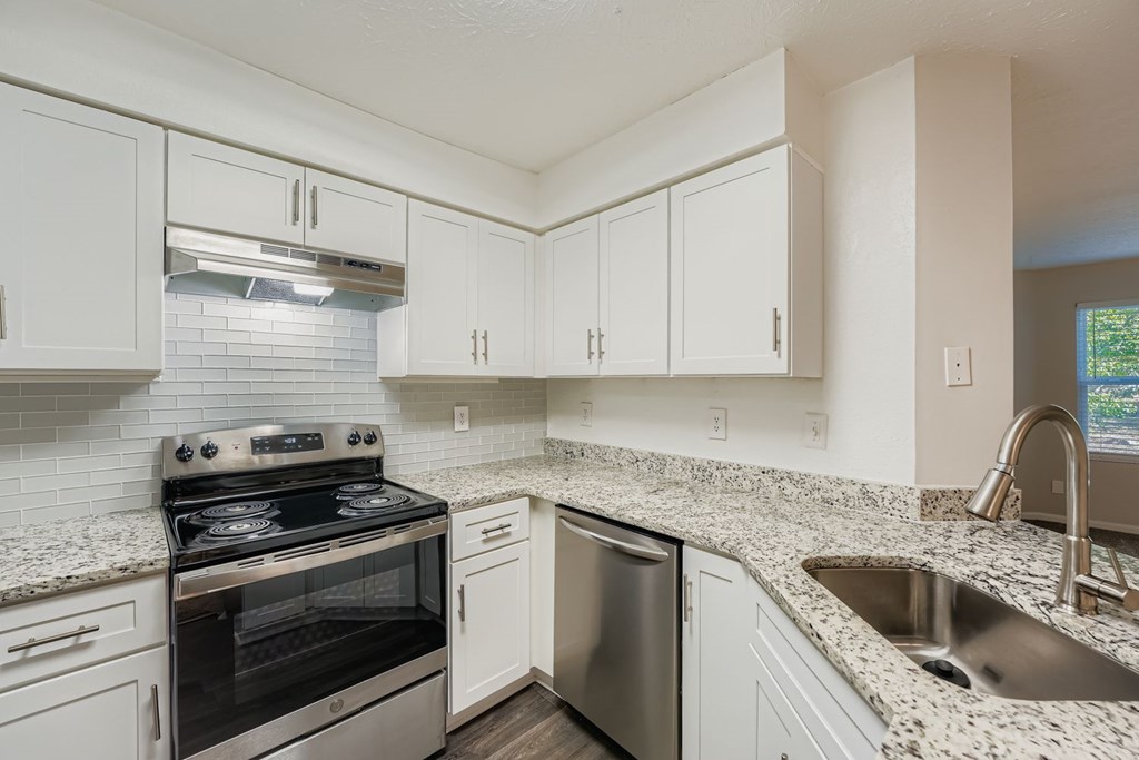 A kitchen with a stove, dishwasher, and sink.
