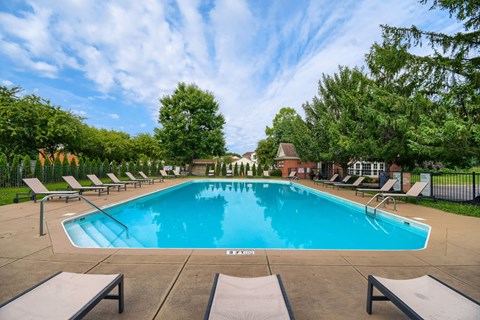 A large outdoor swimming pool surrounded by lounge chairs and trees.