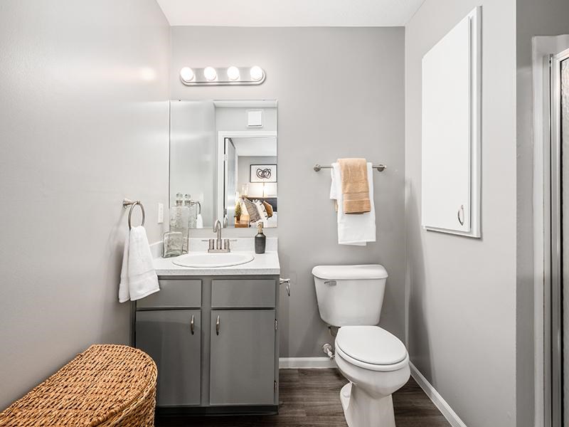 A bathroom with a toilet, sink, and mirror.