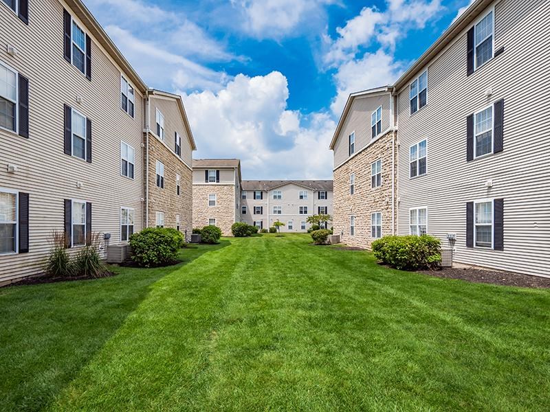 A grassy courtyard is surrounded by apartment buildings.