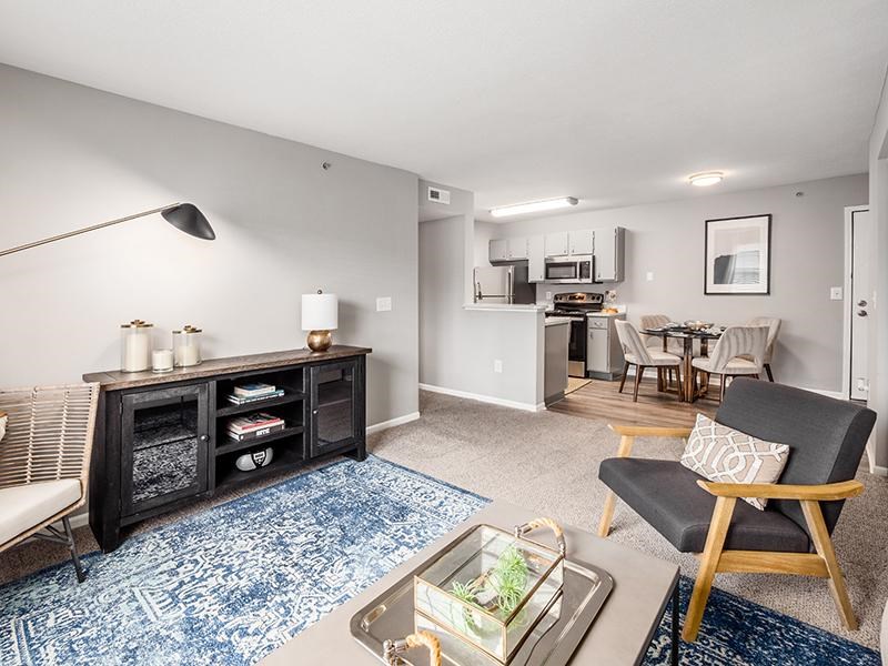 A living room with a black and white color scheme and a blue rug.