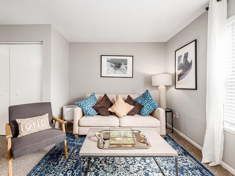 A living room with a grey armchair, a white sofa, and a coffee table with a tray on it.