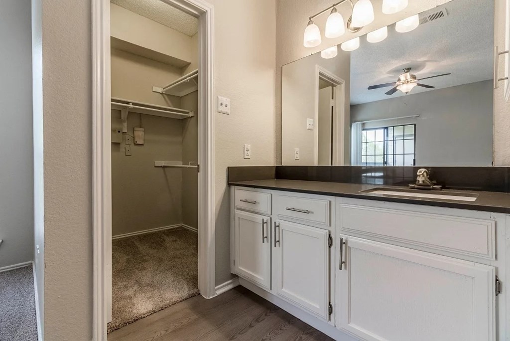 A bathroom with a walk-in shower and a vanity with a mirror.