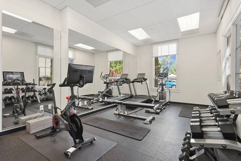 Gym with Free Weights, Peloton, Treadmill and Elepticall