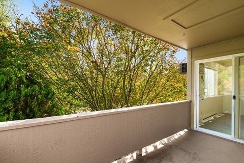 A balcony with a glass door and a wall on the left side.