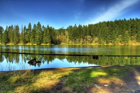 A small lake with trees in the background in neighborhood at Thrive at Green Mountain, Camas, WA, 98607