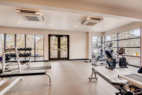 A spacious gym with treadmills, weights, and exercise equipment.