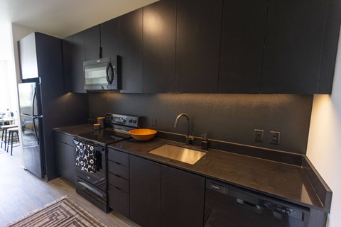 a kitchen with black cabinets and stainless steel appliances and a sink at Analog PDX Apartments, Oregon 97227