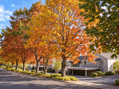 A tree with orange leaves is in front of a house.
