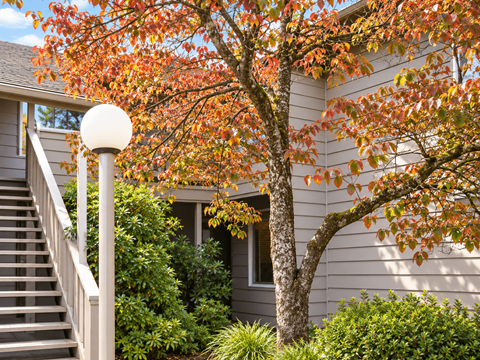 A tree with orange leaves is in front of a house.