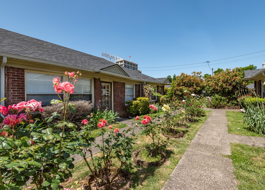 A house with a garden in front of it.