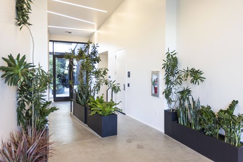 a hallway with white walls and plants in black planters at Analog PDX Apartments, Portland, OR
