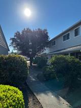 2-bedroom apartment at Laurel On 2nd Apartments in Newberg