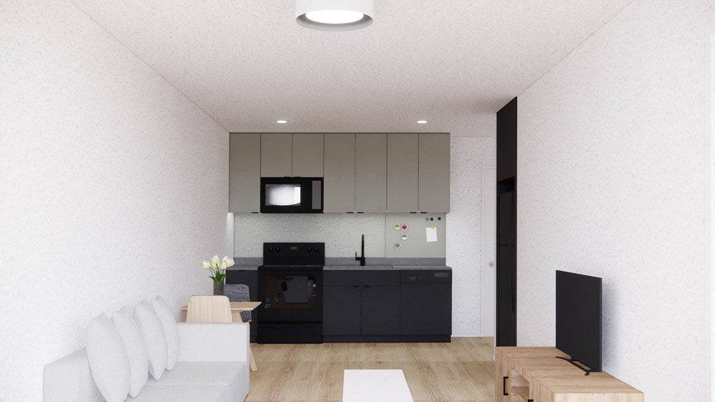 the living room and kitchen in a small apartment at Moraine, Washington 