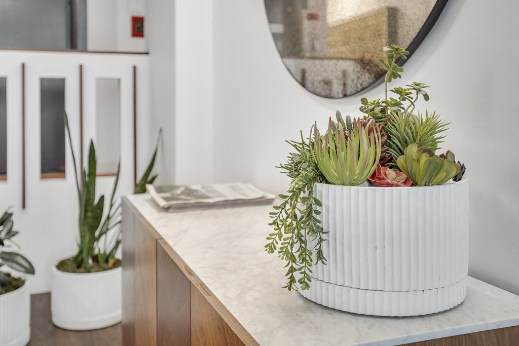 a white vase filled with succulent plants on a counter
