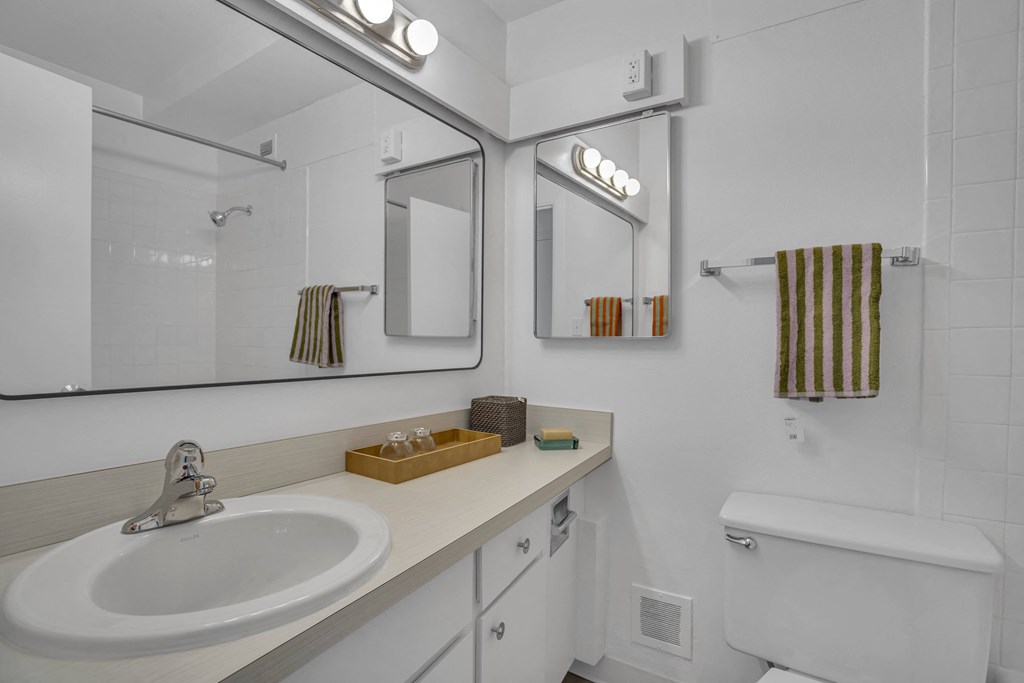 a bathroom with a sink and a mirror and a toilet