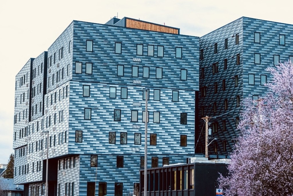 a blue building with windows in front of a purple tree at Moraine, Tacoma, 98402