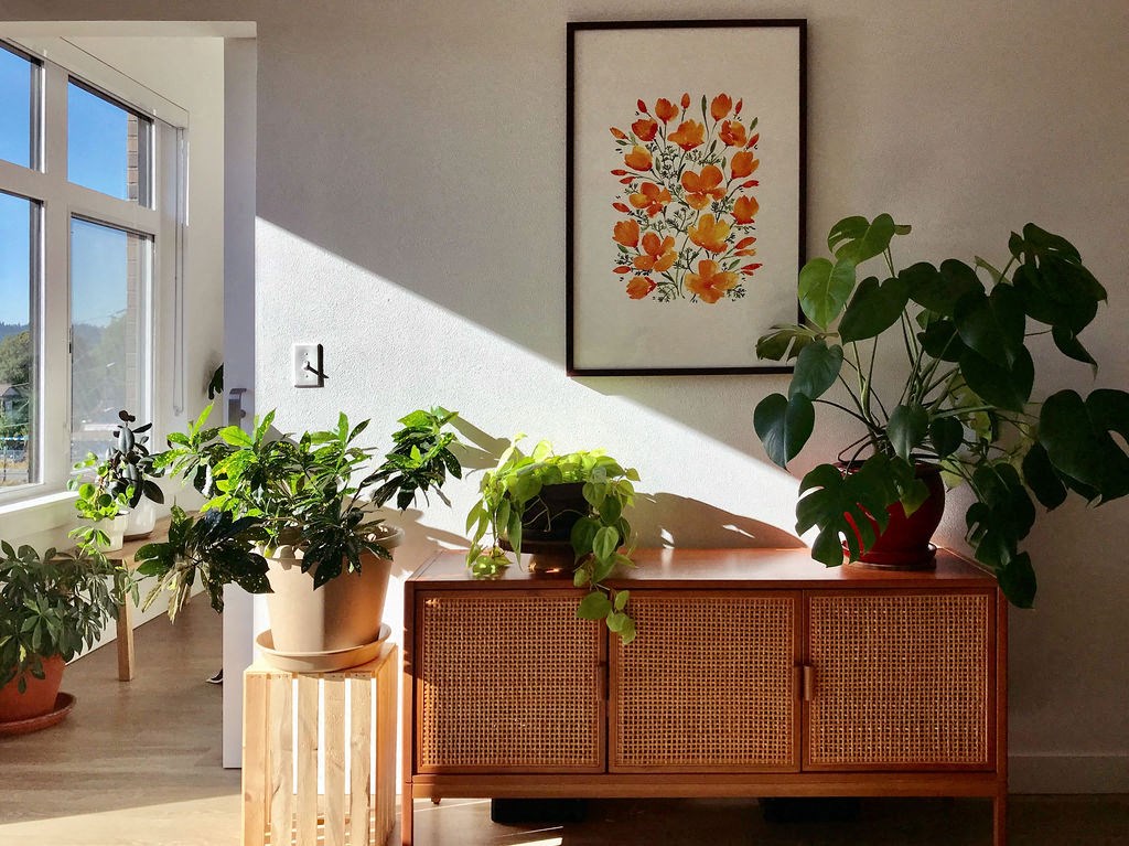 a living room filled with furniture and plants