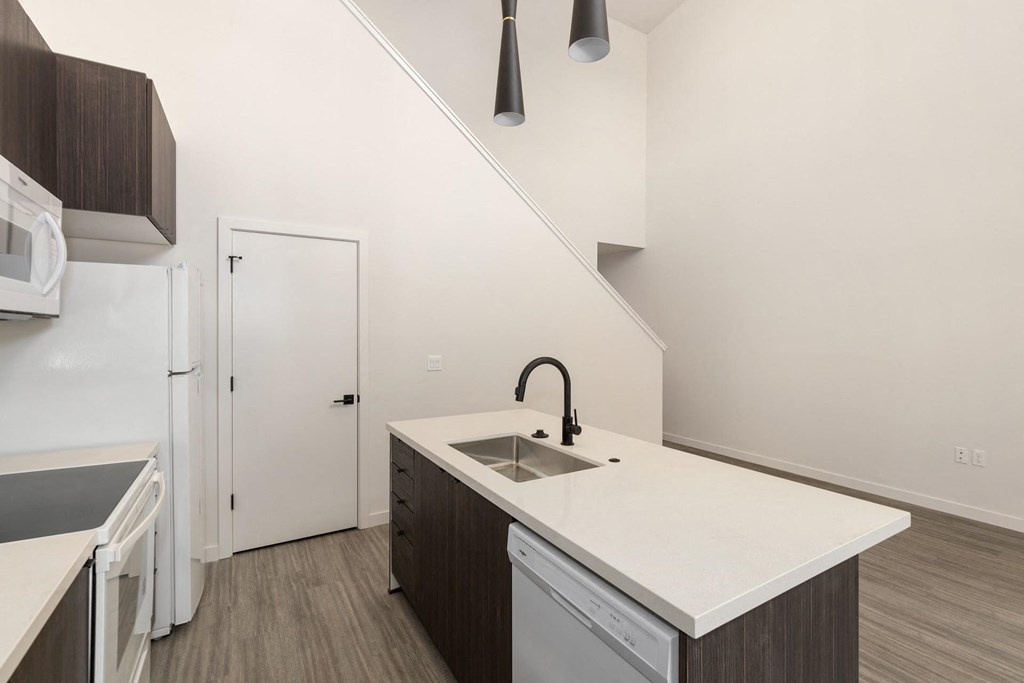 a kitchen with a sink and a dishwasher