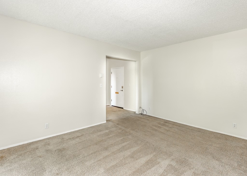 A room with a carpeted floor and a white wall.