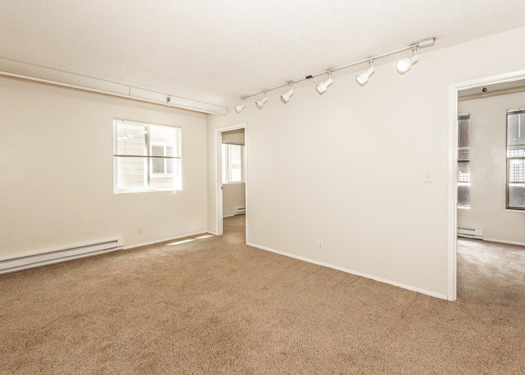 A large, empty room with carpeted floors and white walls.