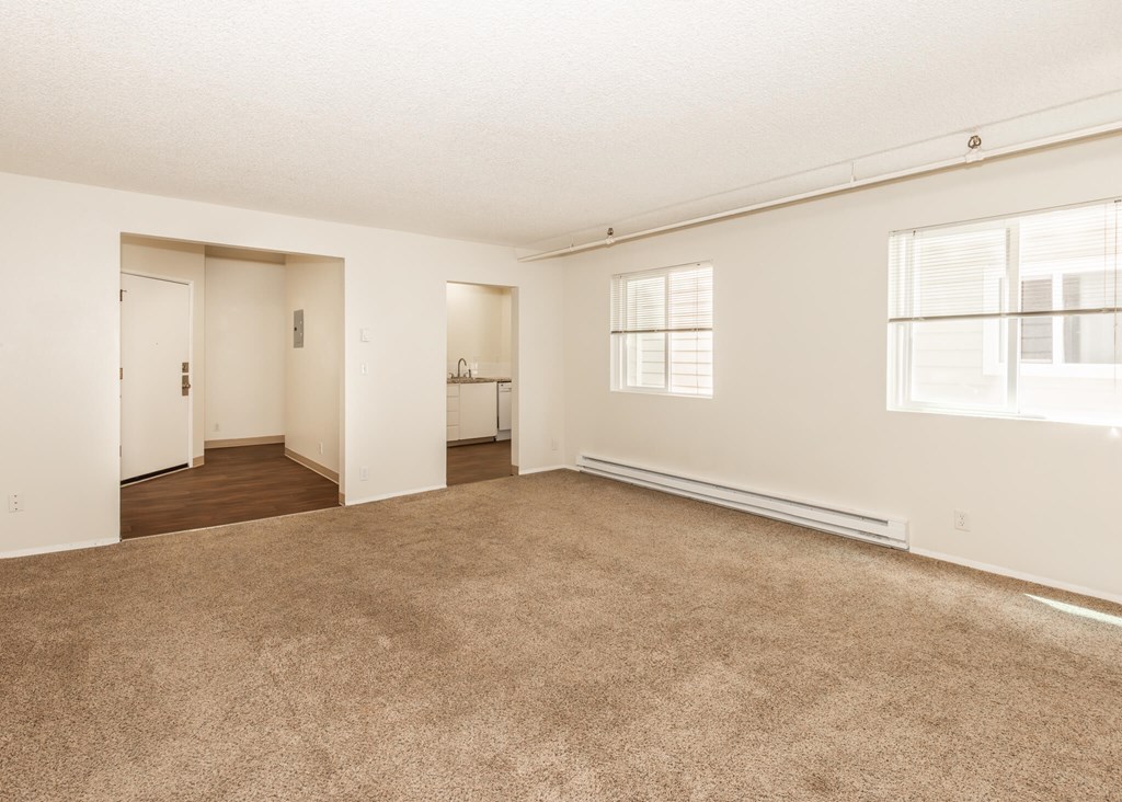 A large, empty room with carpeted flooring and white walls.