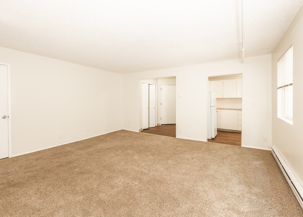 A large, empty room with carpeted flooring and white walls.