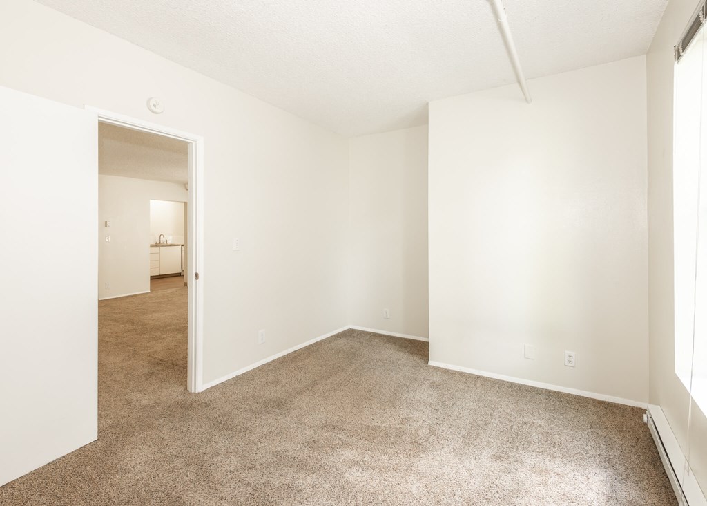 A room with white walls and carpeted floor.