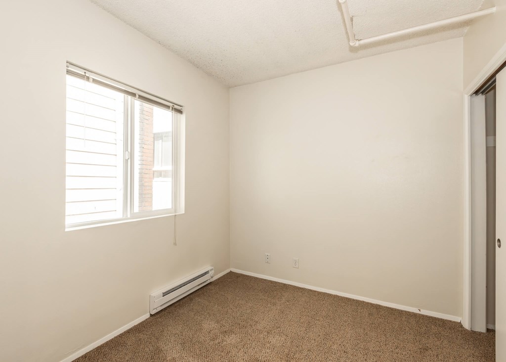 A room with a window and a carpeted floor.