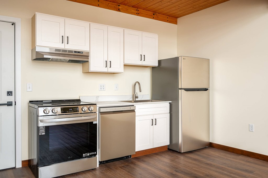 A kitchen with a stove, dishwasher, and refrigerator.