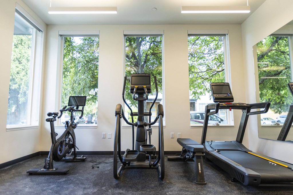 three exercise machines in a gym with three windows at Shift, Portland Oregon
