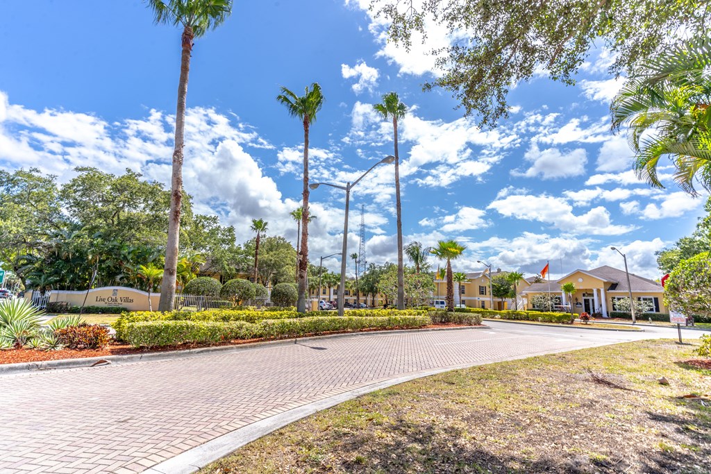 A sunny day at a park with palm trees and a building in the background.