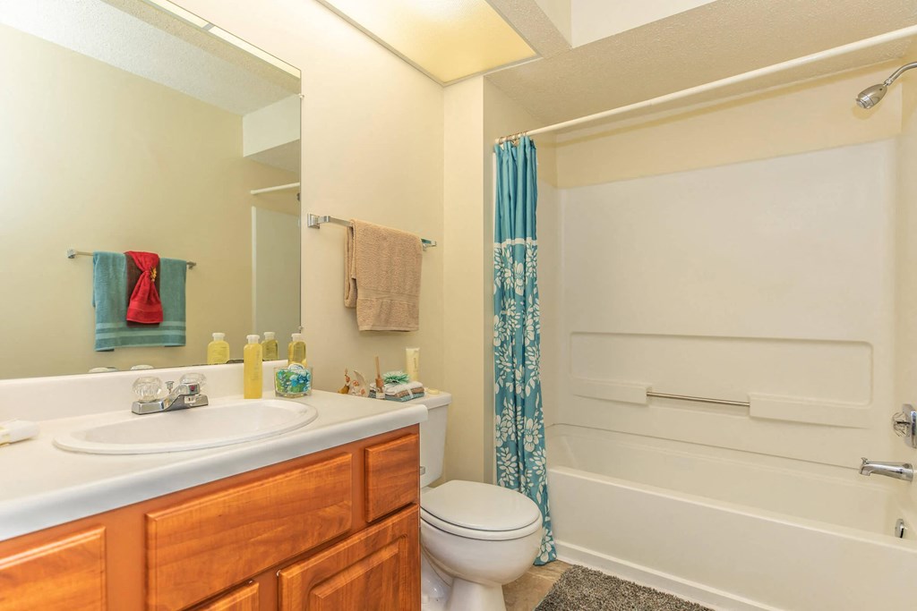 a bathroom with a sink toilet and bathtub at Arbors at Windsor Lake, South Carolina, 29223