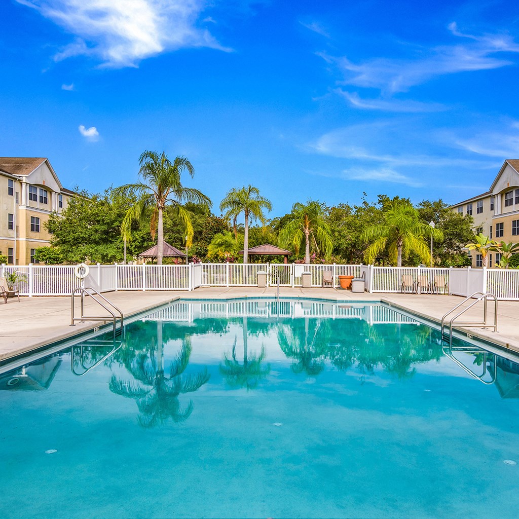 a large pool with palm trees in the background