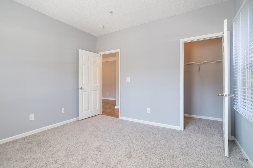 a bedroom with blue walls and a carpeted floor